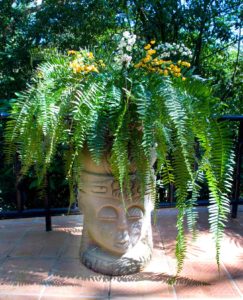Tropical garden planters, this one has a fern.