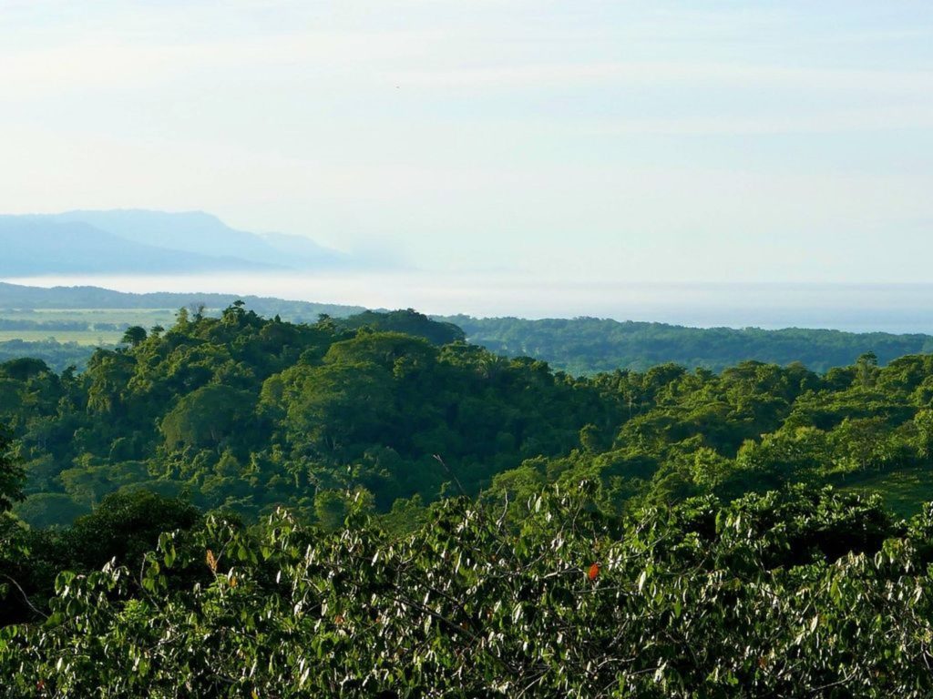 This amazing villa has a gorgeous view of the Manuel Antonio coastline.