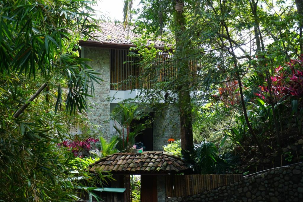 There is lots of incredible tropical flora and fauna in this amazing area of Manuel Antonio.