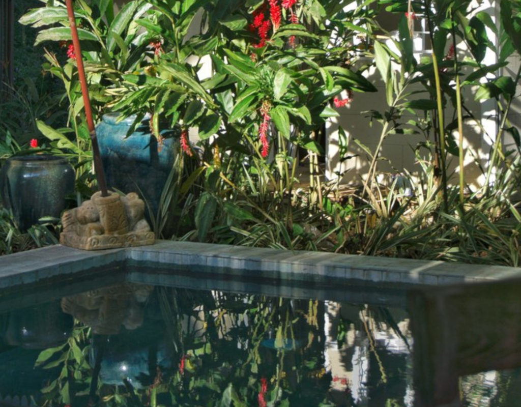 The gorgeous plunge pool is embraced by lush tropical plants.