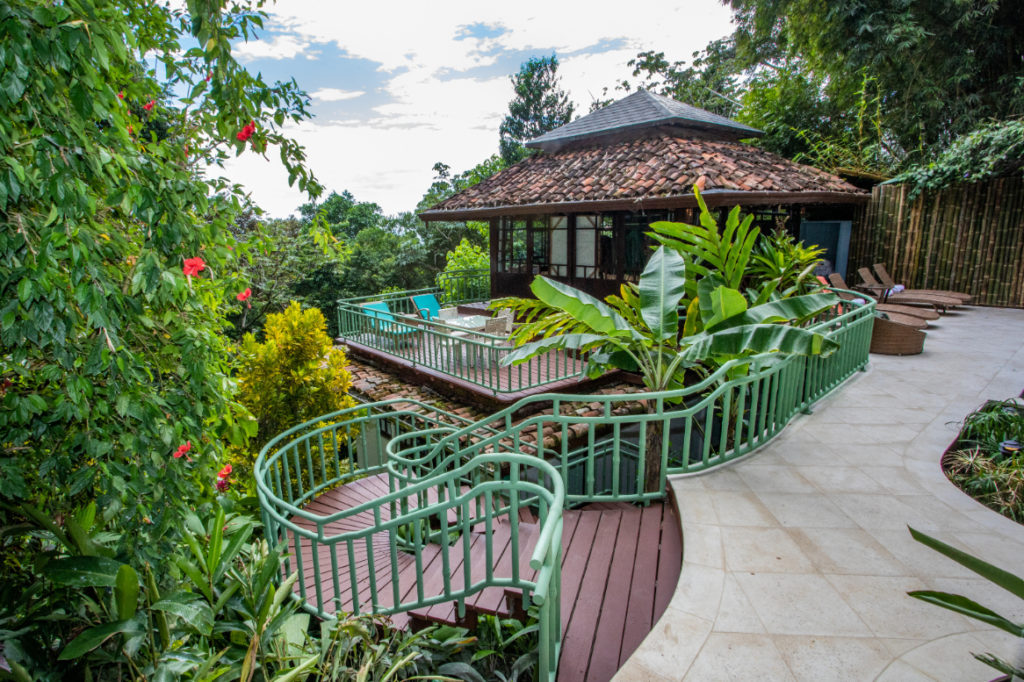 The pool-house is secluded within the beauty of the rainforest.
