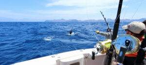 fishing-tournaments-quepos-costa-rica